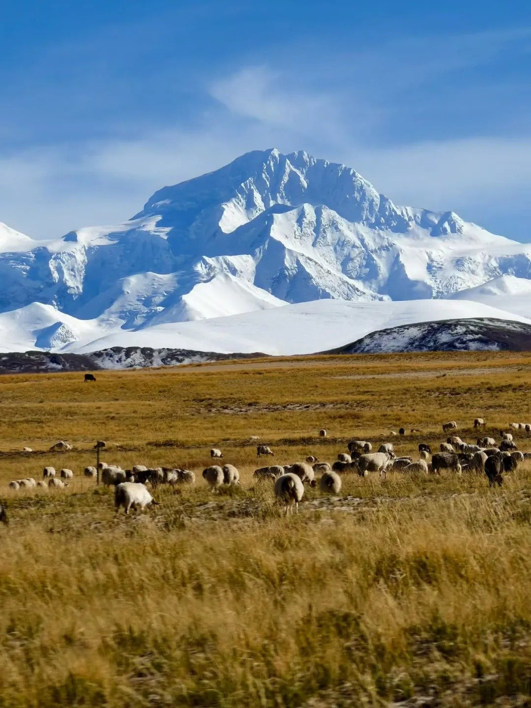 Lhasa to Gyirong overland tour