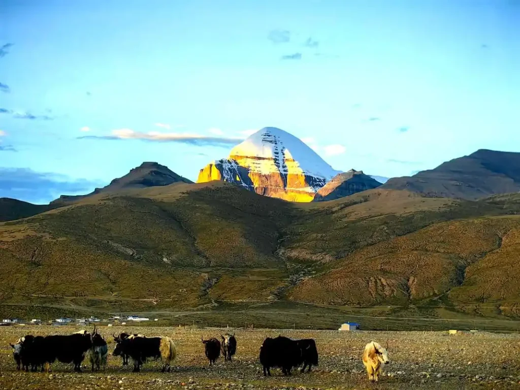 13-Day Kailash Kora Trek