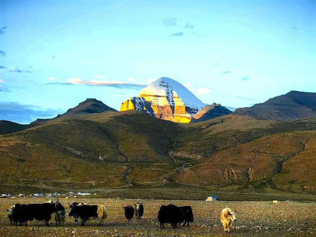 mount kailash trek