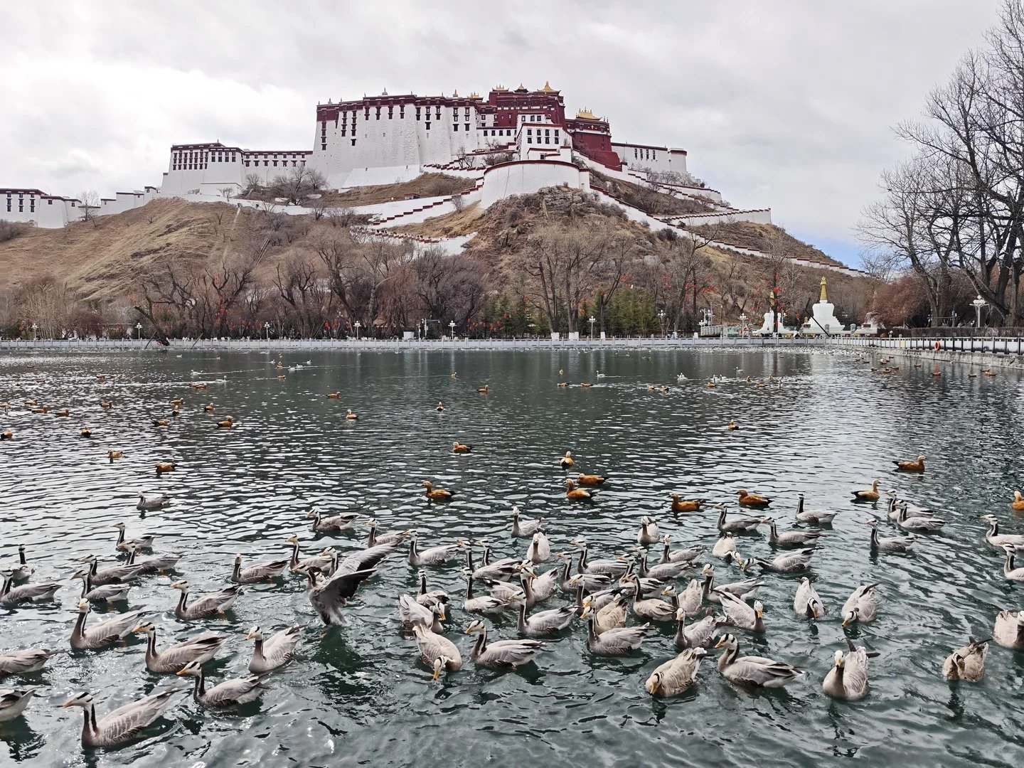 potala palace