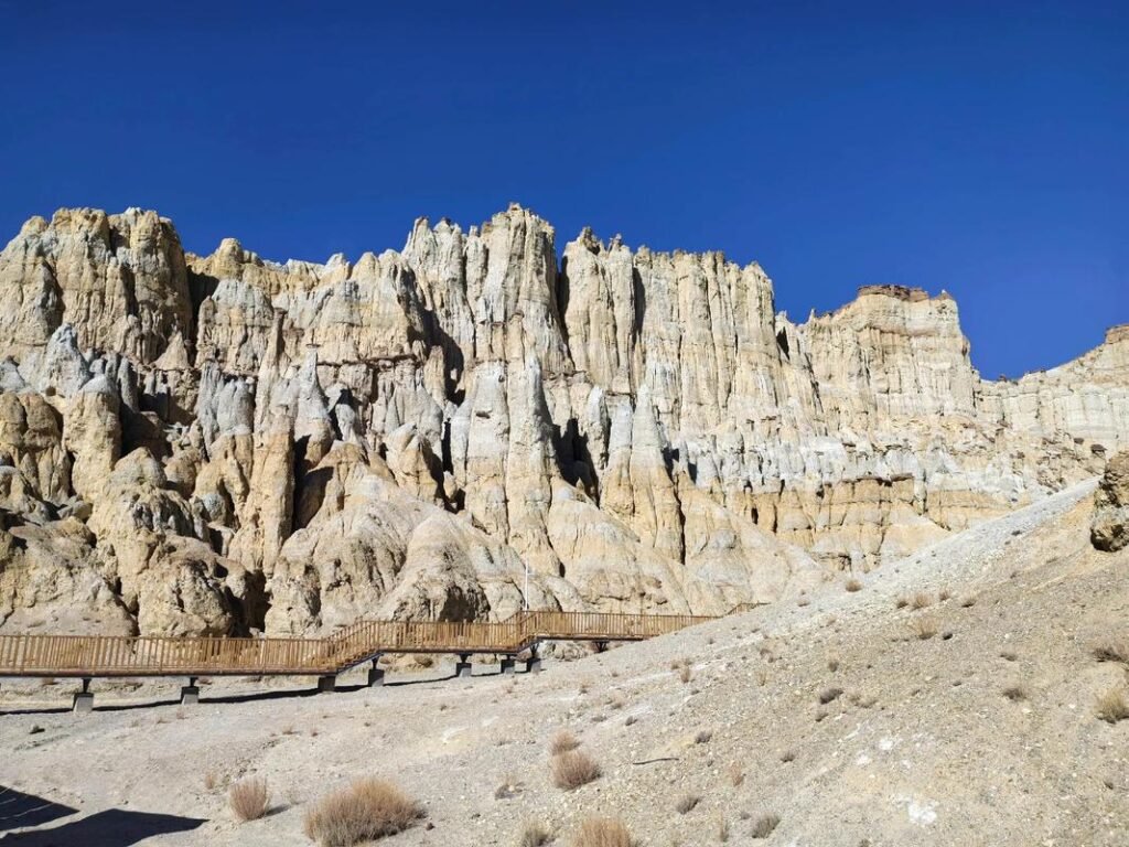 zanda earth forest is shown in this image - one of the unique tourist destinations in tibet