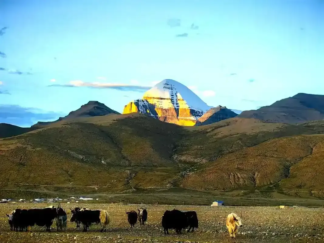 mount kailash trek