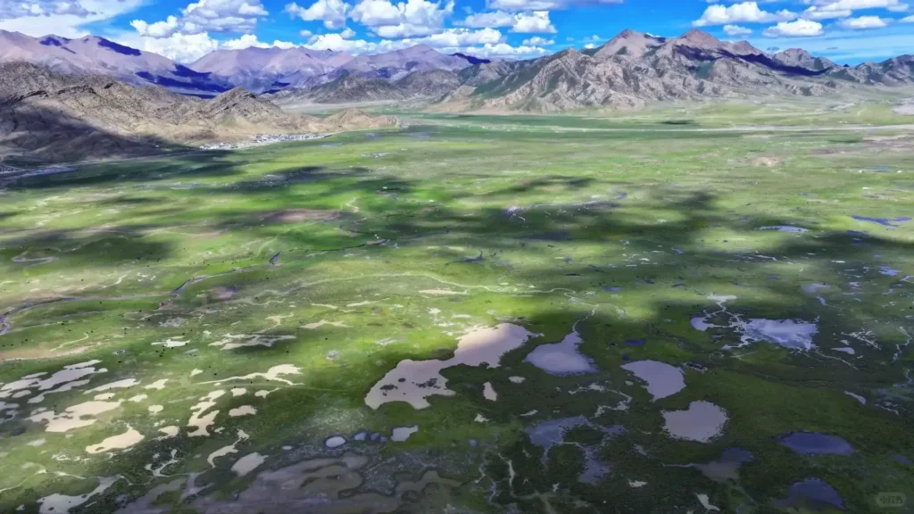 sangsang grassland